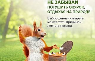 Спасатели напоминают: как не стать виновником лесного пожара