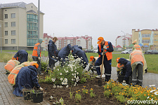 Потрудиться и заработать: очередной студотряд приступил к работе в ЖКХ