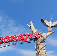 В Беларуси утвердили правила по охране труда в зоопарках