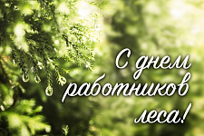 Островецкий РИК и Совет депутатов поздравляет тружеников и ветеранов лесной отрасли Островецкого района с профессиональным праздником