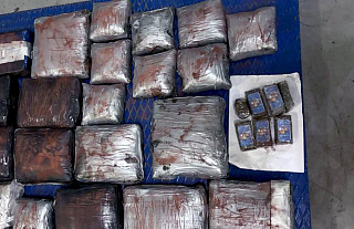 Гродненские таможенники пресекли ввоз в Беларусь около 38 кг гашиша