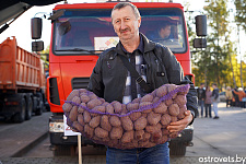 Осенняя ярмарка: в город за покупками
