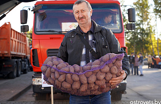 Осенняя ярмарка: в город за покупками