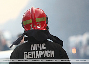 Около 5 тыс. пожаров произошло в Беларуси с начала года - МЧС