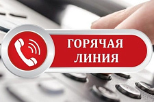"Горячая линия" по вопросам торговли на селе проходит в стране