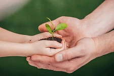 Островецкая райинспекция природных ресурсов подвела промежуточные итоги работы за 2026 год