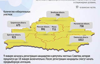 Инфографика: Участки для голосования на местных выборах
