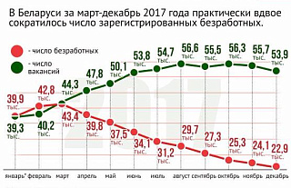 Инфографика: Занятость населения в Беларуси