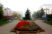 Фото Алисы