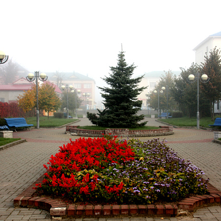 Фото Алисы