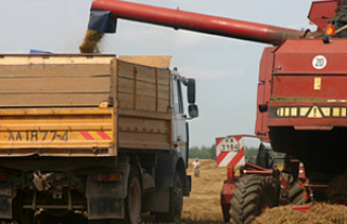 Жыццё ў рытме жніва…