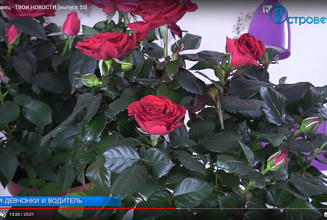 ТВой Островец - ТВОИ НОВОСТИ [выпуск 55]