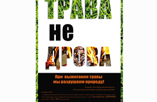Весенние палы травы: возможные последствия одной глупости