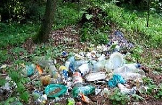 Бдительность в лесу не повредит