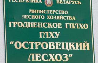 Работники Островецкого лесхоза боролись за звание лучших на республиканских, областных и районных соревнованиях