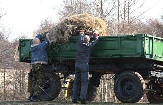  Куда девать «весенний» мусор, выяснял корреспондент «АП»
