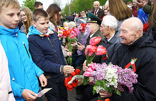 «Сирень Победы» зацвела в Коложском парке