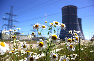 Nuclear power can help combat climate change - Polish expert 