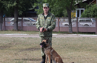 Паказальныя выступленні выратавальнікаў і пагранічнікаў прайшлі ў Астраўцы