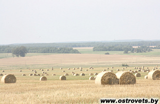 Урожай определяют люди