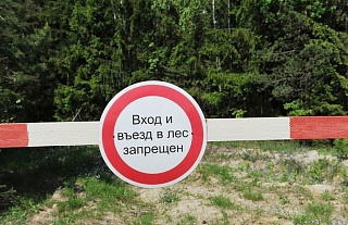 С 16 июля вводится временное ограничение на посещение лесов