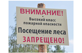 Запрет на посещение лесов всё ещё сохраняется