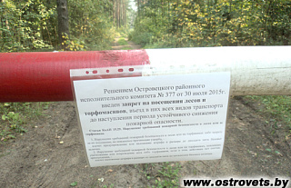 В Островецком районе контролировали соблюдение запрета на посещение лесов