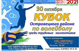 Внимание! Кубок Островецкого района по волейболу пройдет 30 октября 