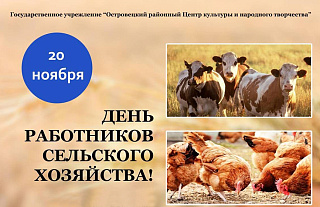 День работников сельского хозяйства. Афиша мероприятий 