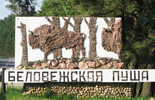 Познай Беларусь. Беловежская пуща (+видео)