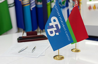 Декларация о поддержке референдума по внесению изменений и дополнений в Конституцию Республики Беларусь