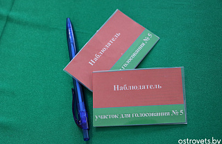 Рэферэндум: развагі назіральніка