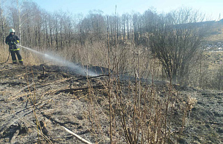 Фото и видеофакт: под Малями зафиксирован пал
