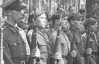 Армия Крайова: нападение на Героя Советского Союза, грабежи и убийства. О борьбе против советской власти и геноциде мирного населения «белополяками» в новом проекте прокуратуры области и «Гродзенскай праўды» (часть 2)