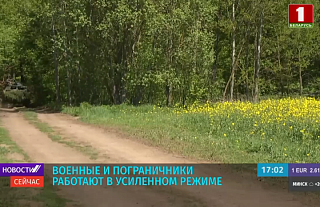 Военные и пограничники выполняют совместные задачи по увеличению плотности охраны белорусской границы