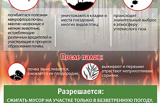 К каким последствиям приводит выжигание сухой растительности (инфографика)