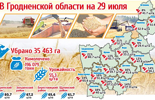 Карта урожайности в Гродненской области на 29 июля (инфографика)
