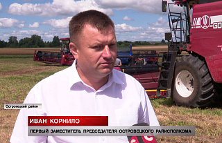 КСУП «Гервяты» – одно из передовых хозяйств Островецкого района – в репортаже СТВ