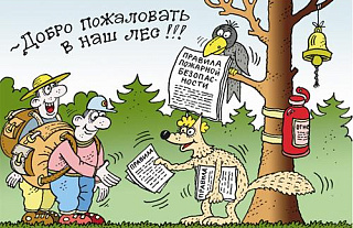 Отправляясь в лес, не забывайте о правилах пожарной безопасности
