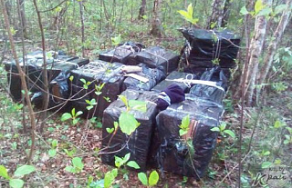 В лесу в Островецком районе пограничники обнаружили сигареты на сумму более 65 миллионов рублей