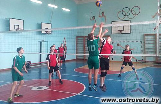 Островецкие волейболисты заняли седьмое место на областной спартакиаде