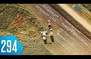 ТВой Островец - ТВОИ НОВОСТИ [Выпуск 294 ]