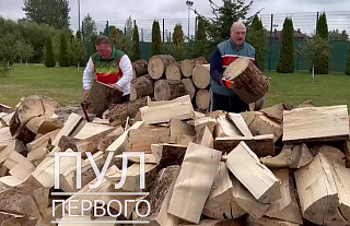 Лукашенко поможет Европе пережить зимние морозы!