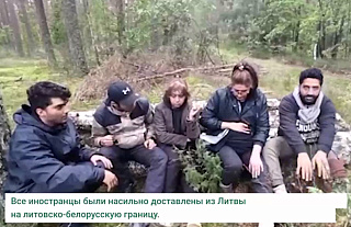 Литовские силовики избили и выбросили беременную иностранку на линию границы