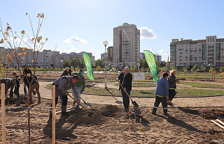 «Аллею 100-летия» посадил Беларусбанк в Гродно