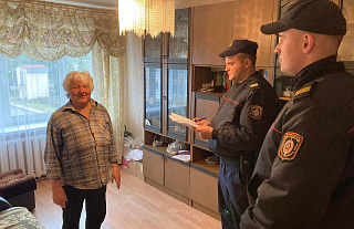 Патрулируют и информируют – сотрудники ППСМ помогают бороться со злодеями в сети