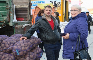 Сельхозярмарка пройдет в Островце 8 октября. Пожилым гражданам окажут помощь в доставке 