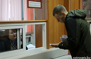 Как работает служба «Одно окно» в Островце