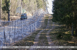 Почему стена в Беловежской пуще – это катастрофа
