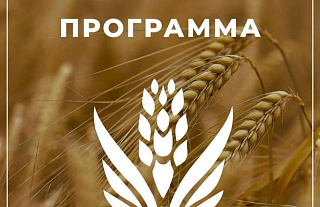 Проект программы партии «Белая Русь»